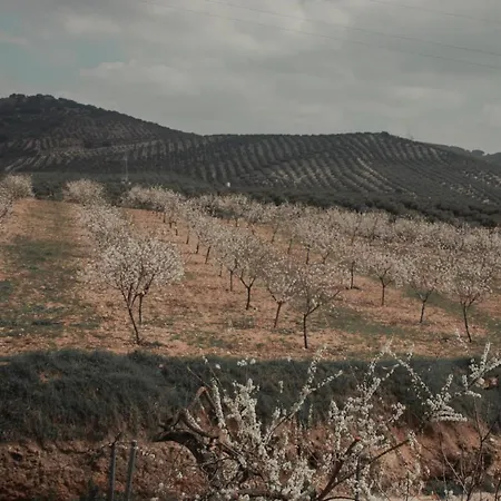 El Carmen * Ribera Alta (Jaen)