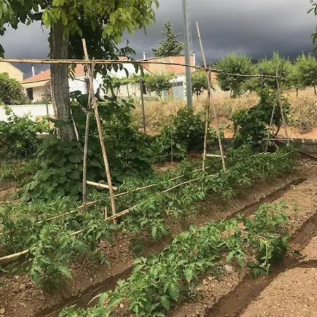 El Carmen *